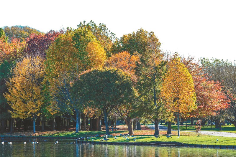 【星雲大師全集117】隨堂開示錄─教育講習 43 人生的選擇之道5-5