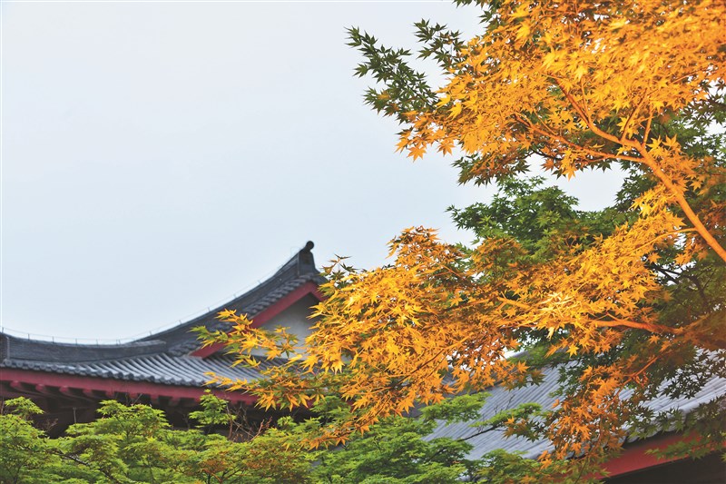 【星雲大師全集117】隨堂開示錄─教育講習47 叢林參問