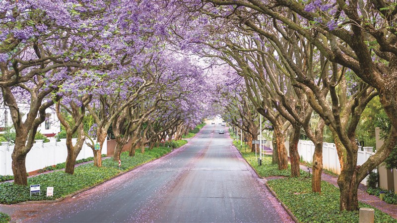 【星雲大師全集16】佛法真義1 佛法義理⑦ 無我