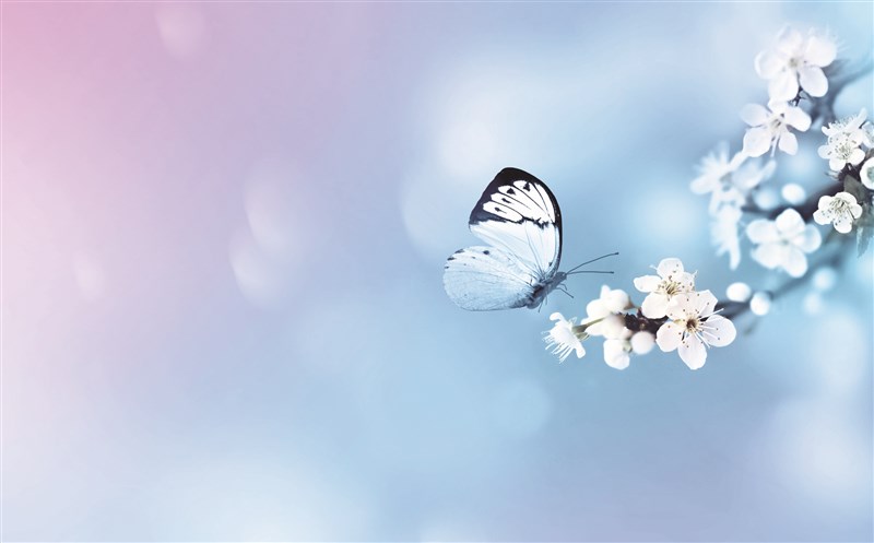 【星雲大師全集16】佛法真義1 佛法義理⑬ 菩提心