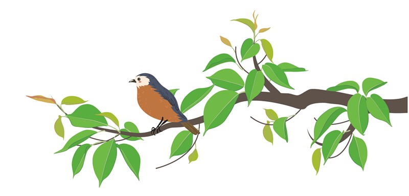 【星雲大師全集115】隨堂開示錄 教育講習68 如何做個如法的出家人7-4