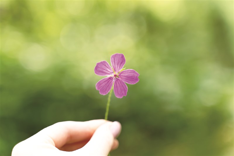 【星雲大師全集17】佛法真義2 佛學思想 65 給人因緣