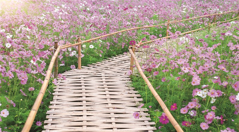 【星雲大師全集17】佛法真義2 佛學思想68 不忘初心