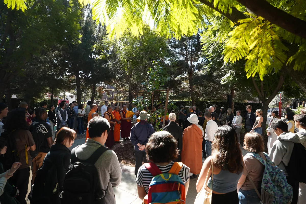 SoCal Buddhist Leaders Unite as Sacred Bodhi Tree Takes Root at USC | 人間福報