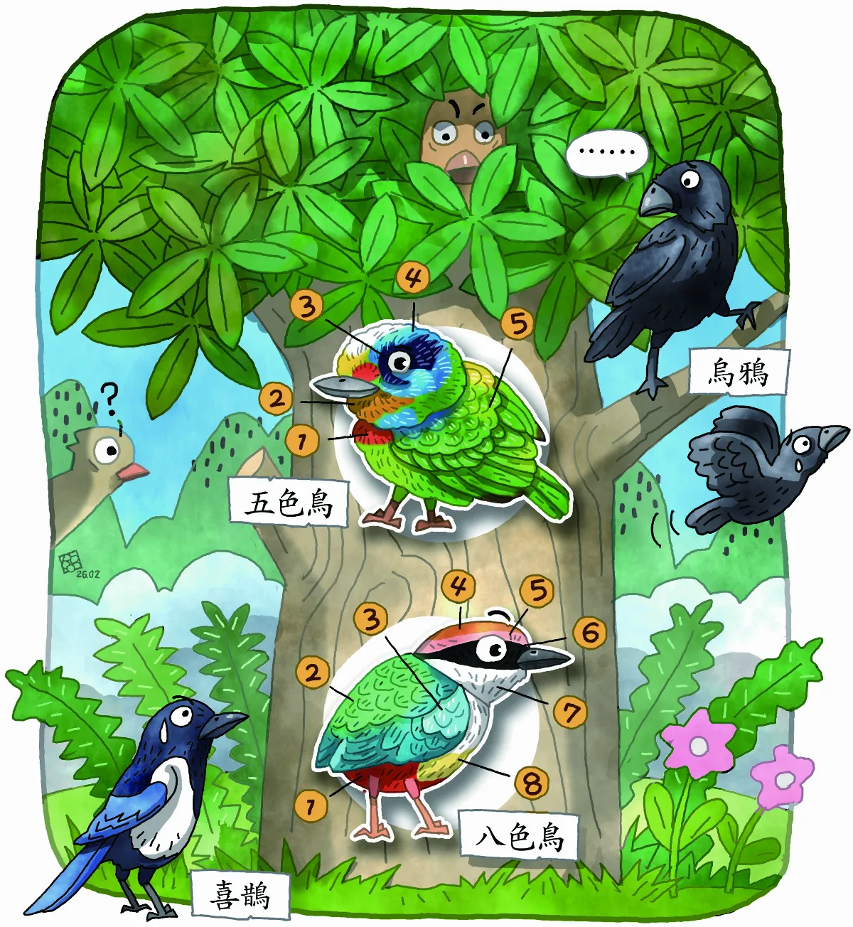 鳥類羽色多變化