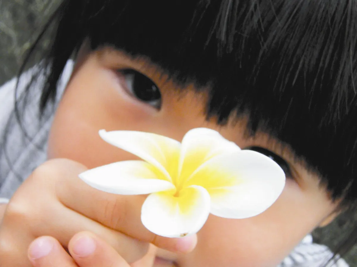 傻妞教給我的