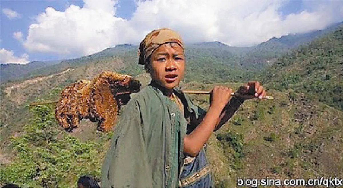 攀峭壁  採野蜜