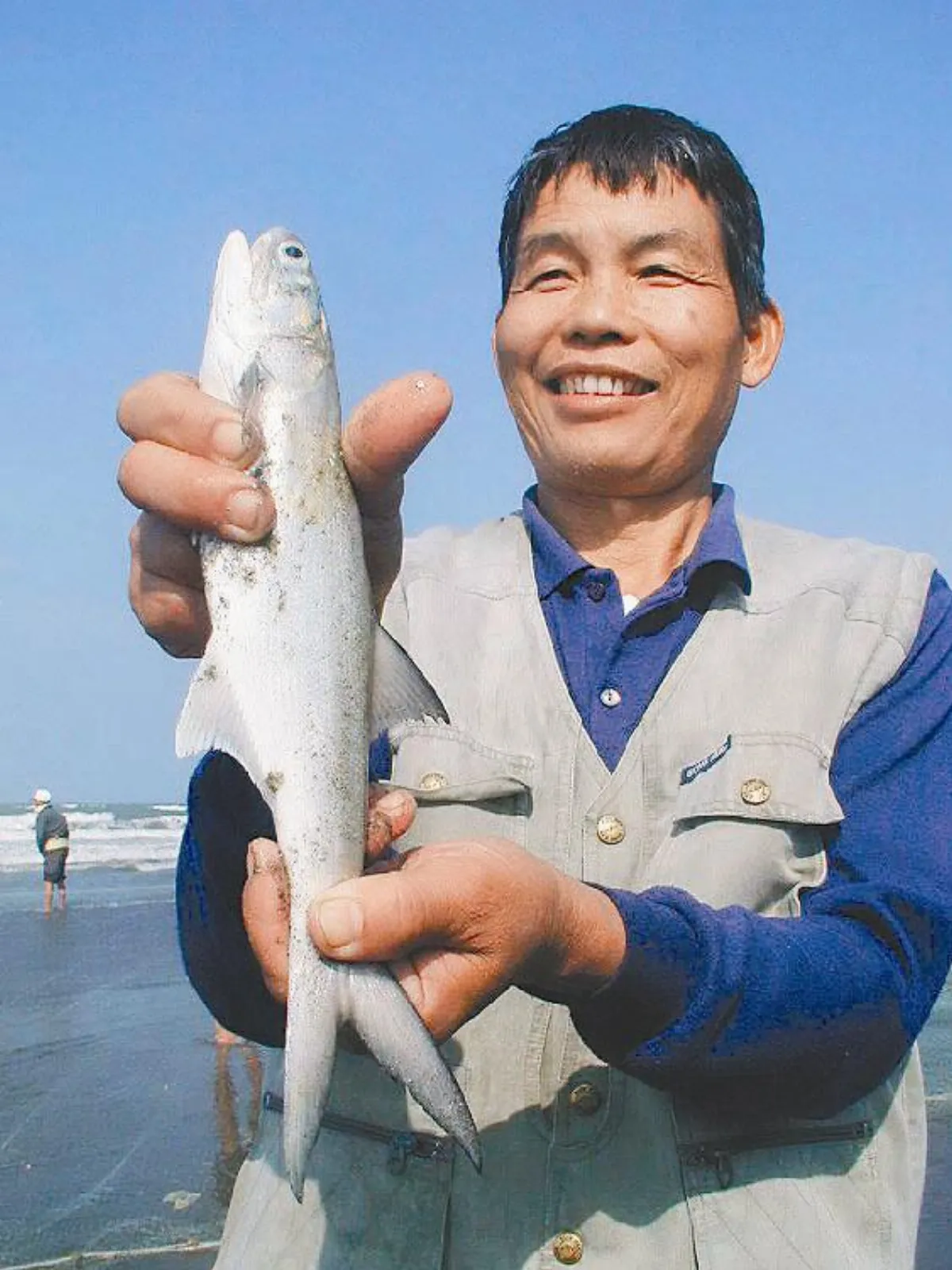 午仔魚有毒 恐引發腫瘤