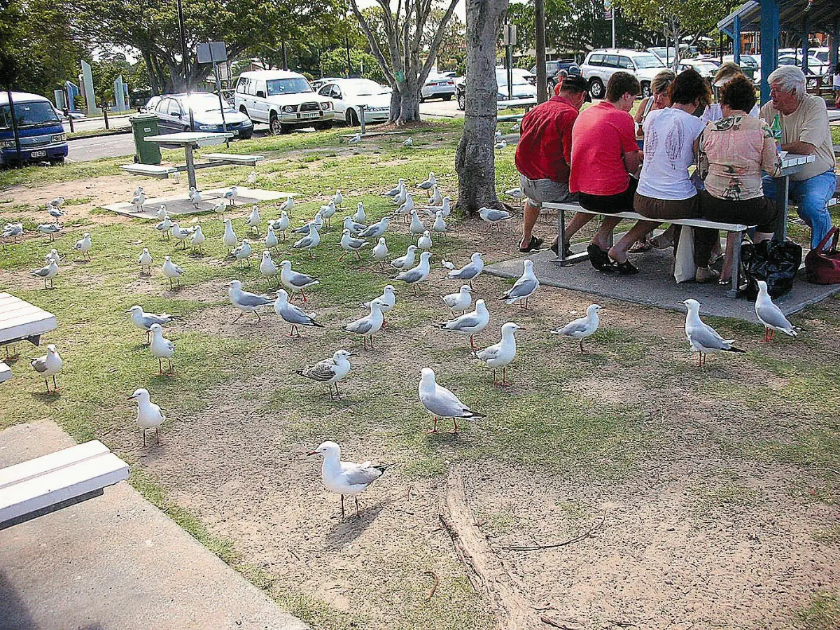 野餐悠閒風