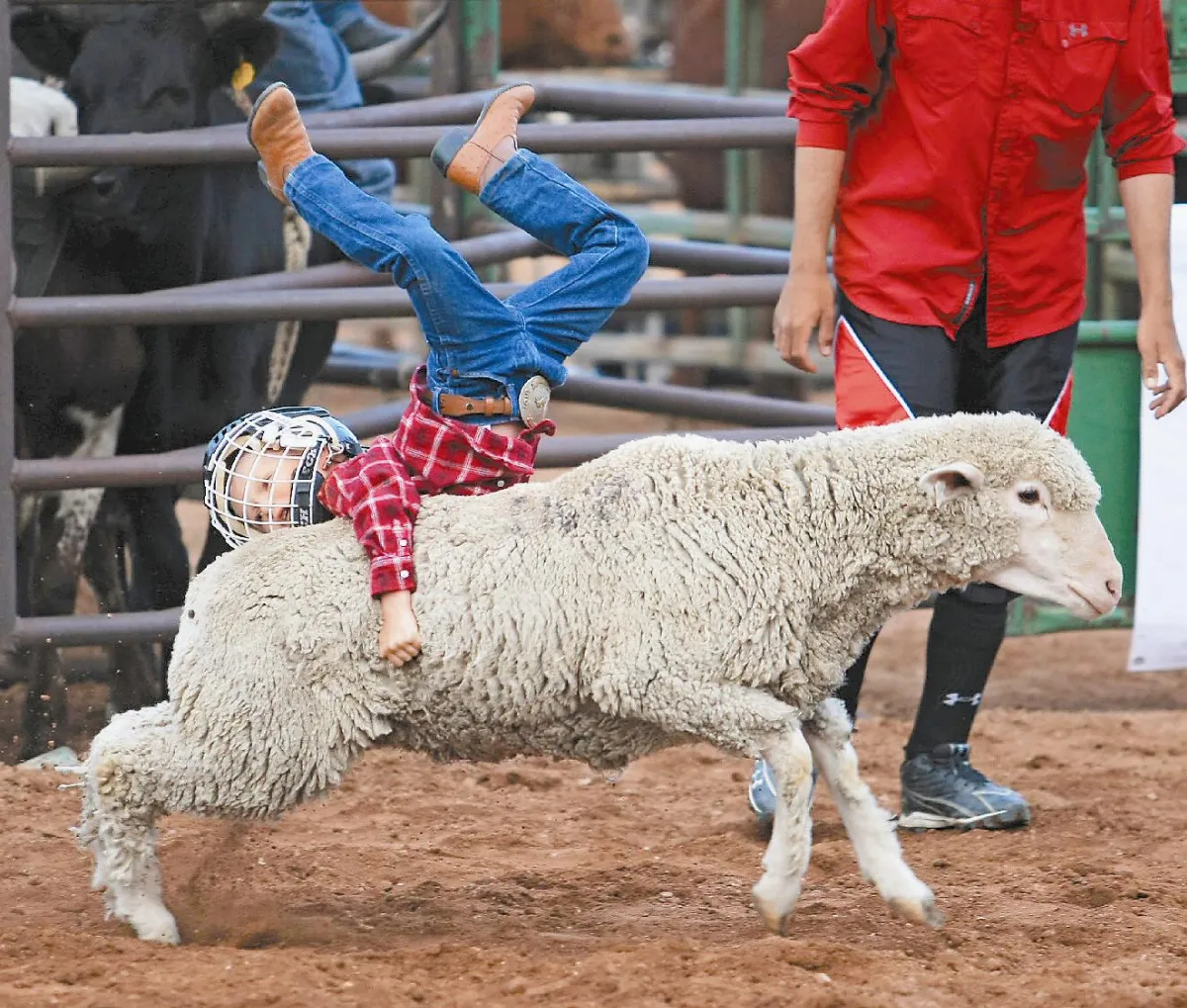 不要拋下我