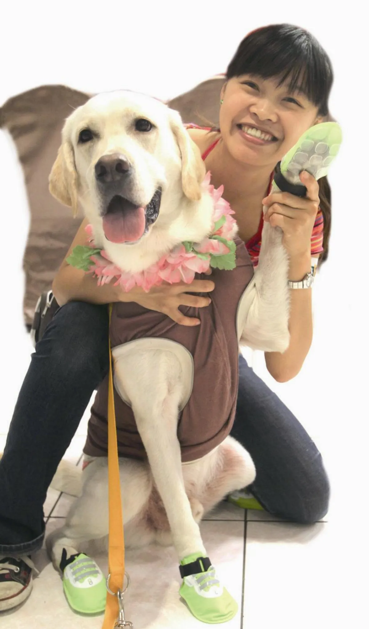 寵物氣墊鞋面世  台灣首創