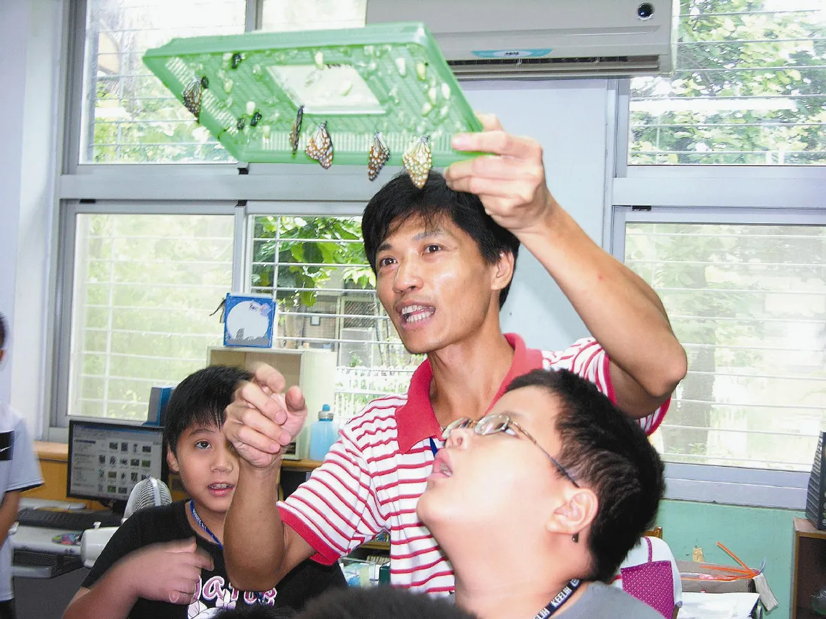 蝴蝶脫蛹出  學童看出神