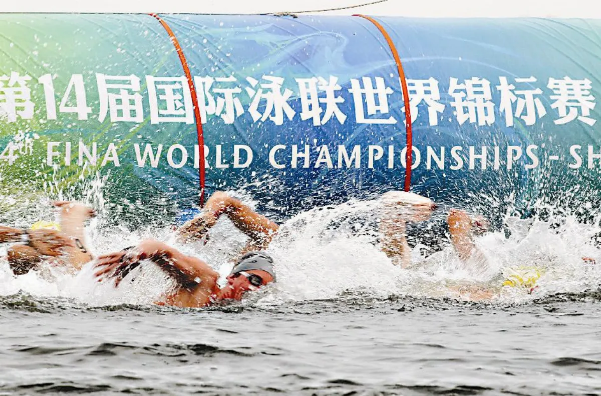 10M跳台跳水 大陸穿金戴銀