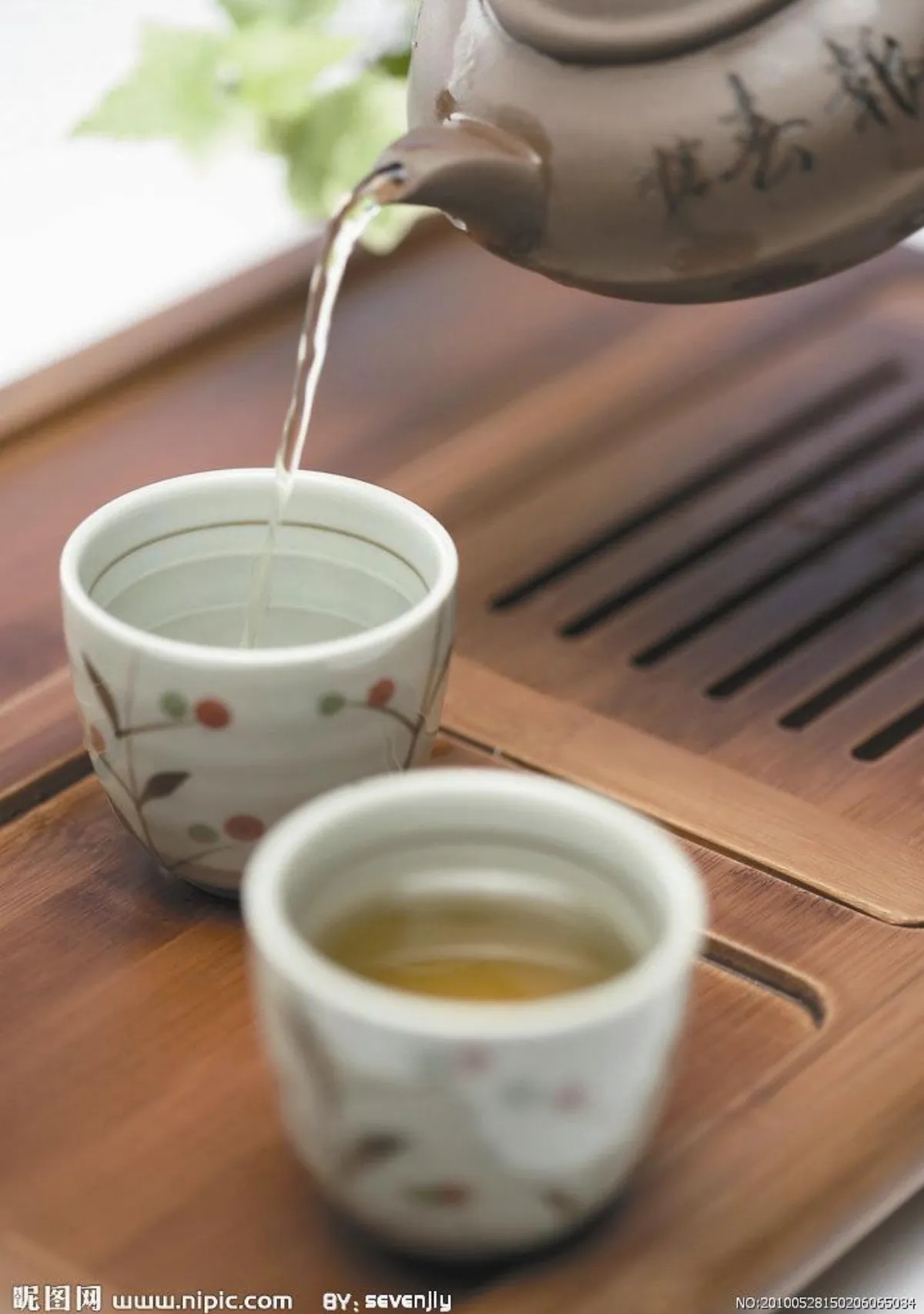 最愛雨天品茗時