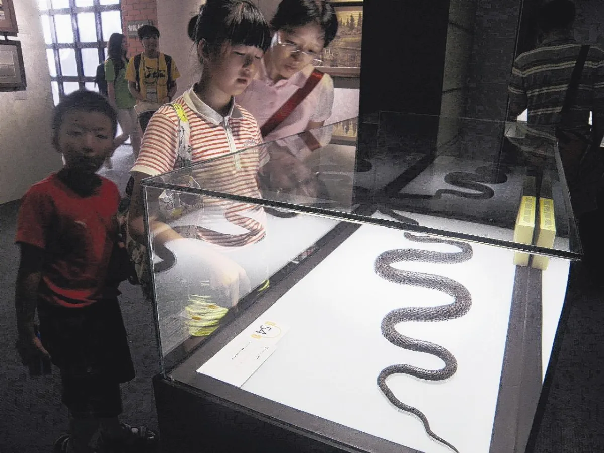 明治工藝品展 看見罕見自在置物