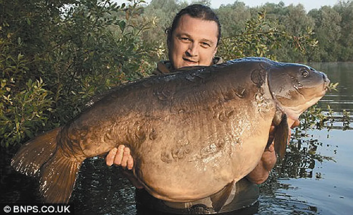 英最大淡水魚  28公斤胖婦人去世