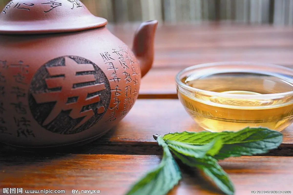 輕鬆泡茶好自在