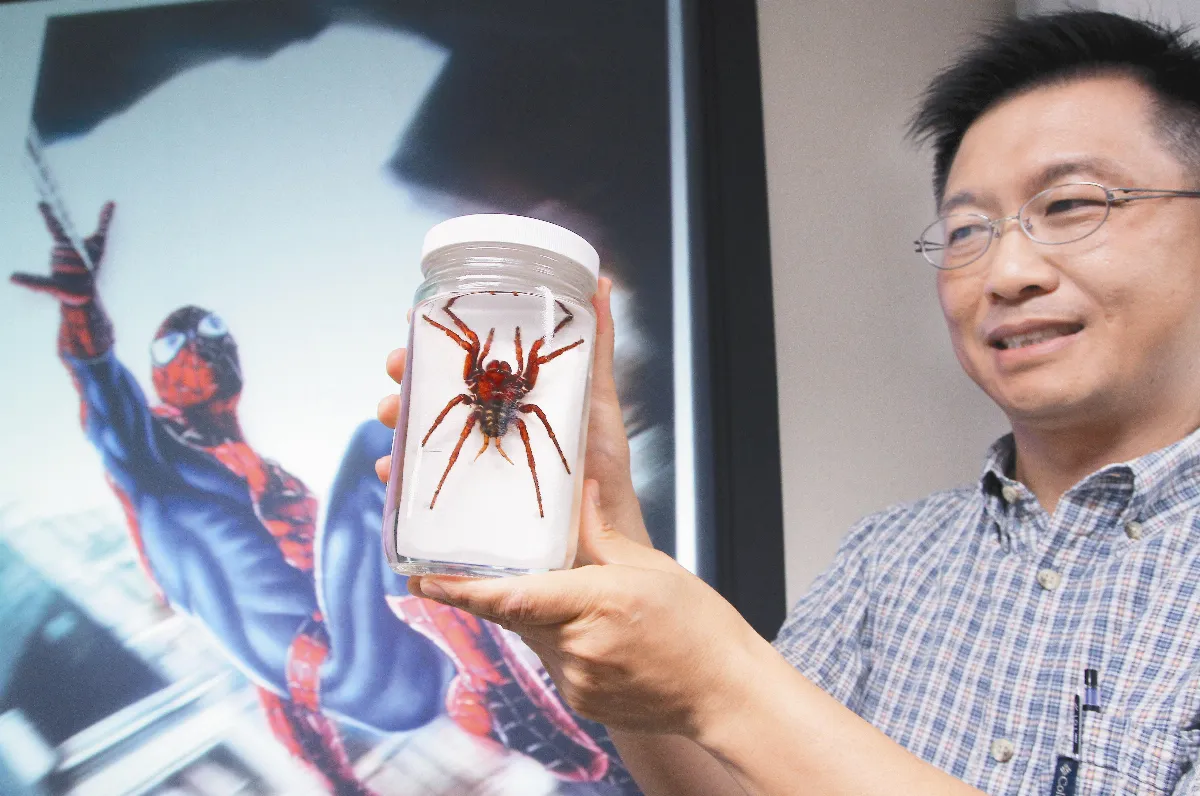 行為生態解密蜘蛛也會障眼法