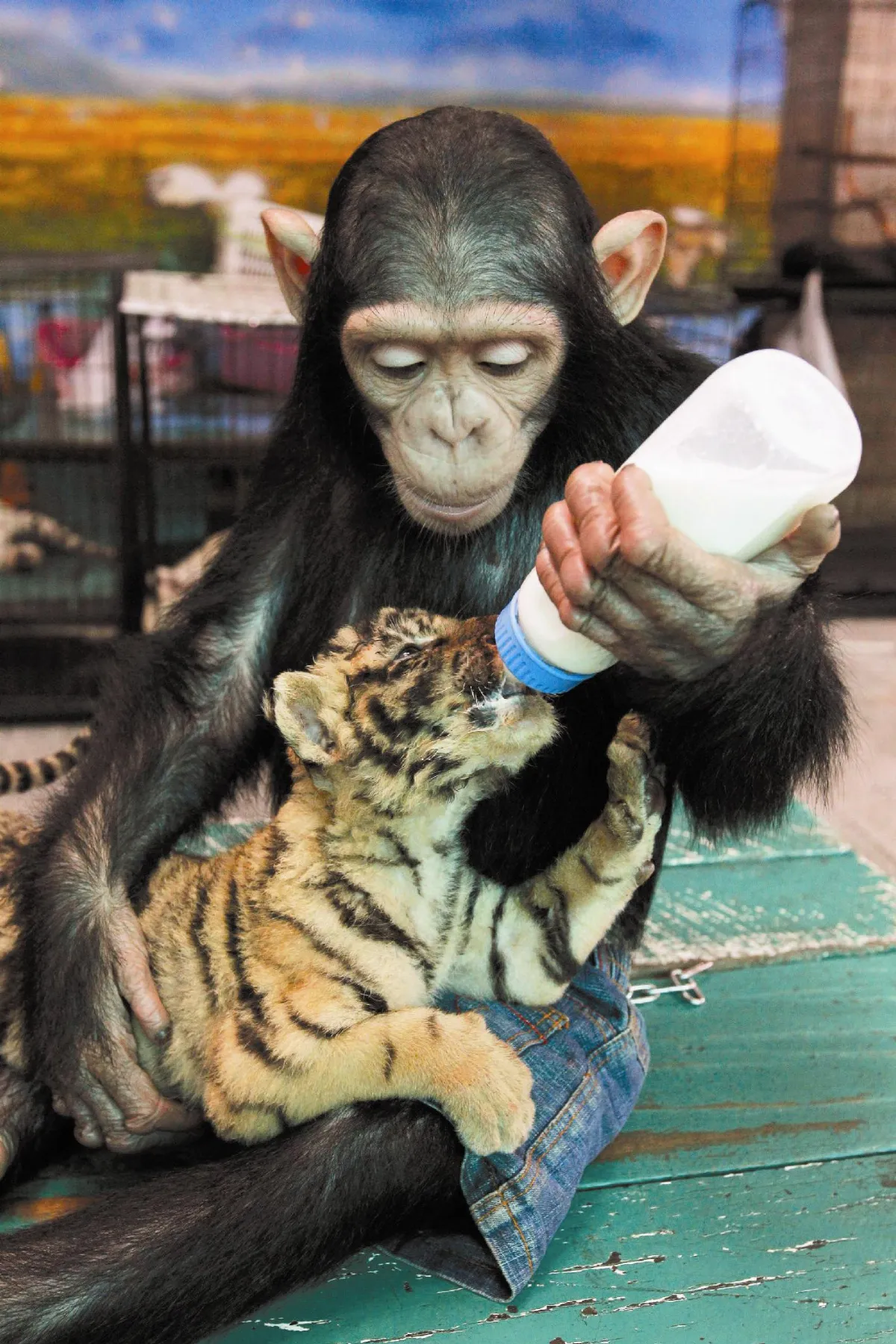 乖乖吃 ㄋㄟㄋㄟ