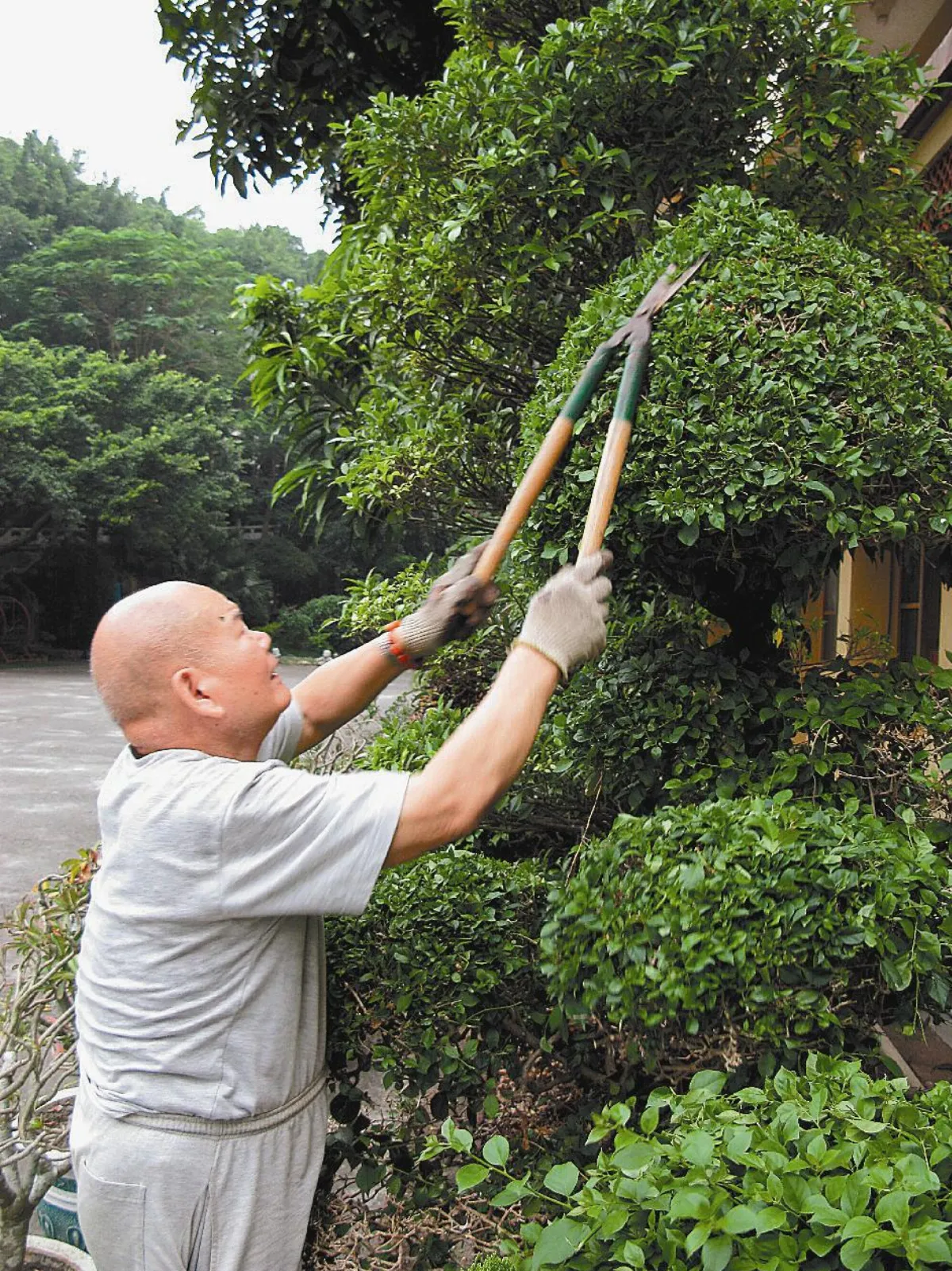 大慈的爺爺  皆是菩薩化身