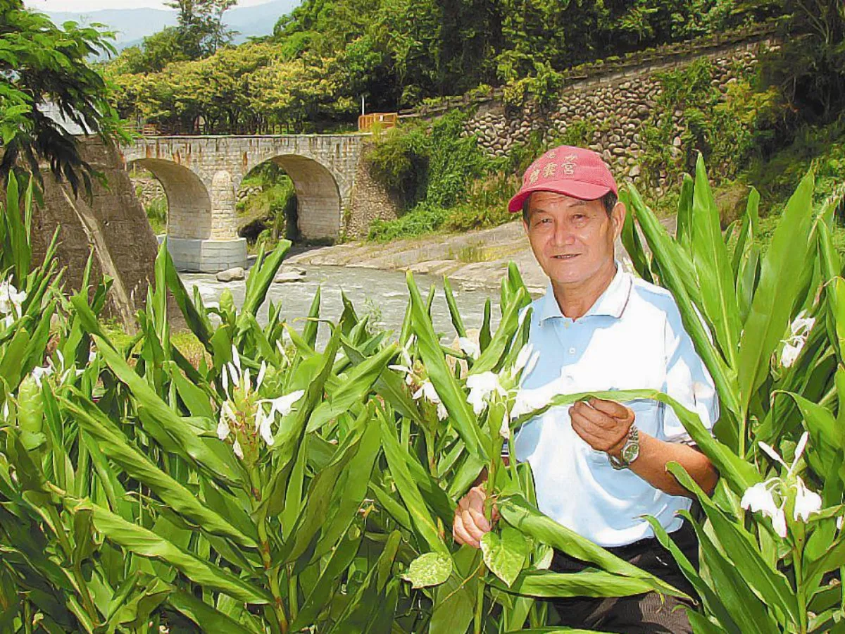 義務老園丁 讓糯米橋飄香