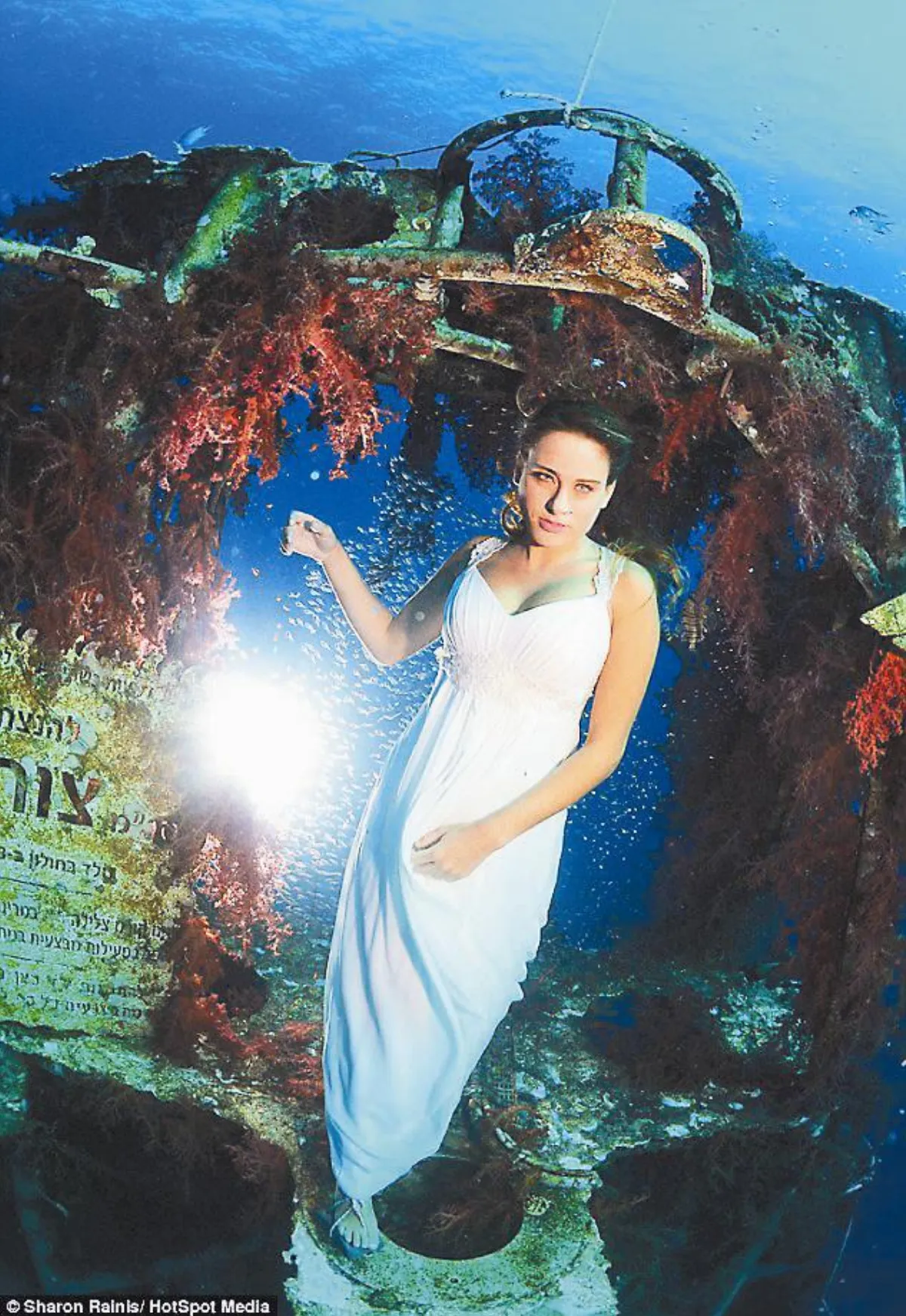 潛入紅海 拍婚紗