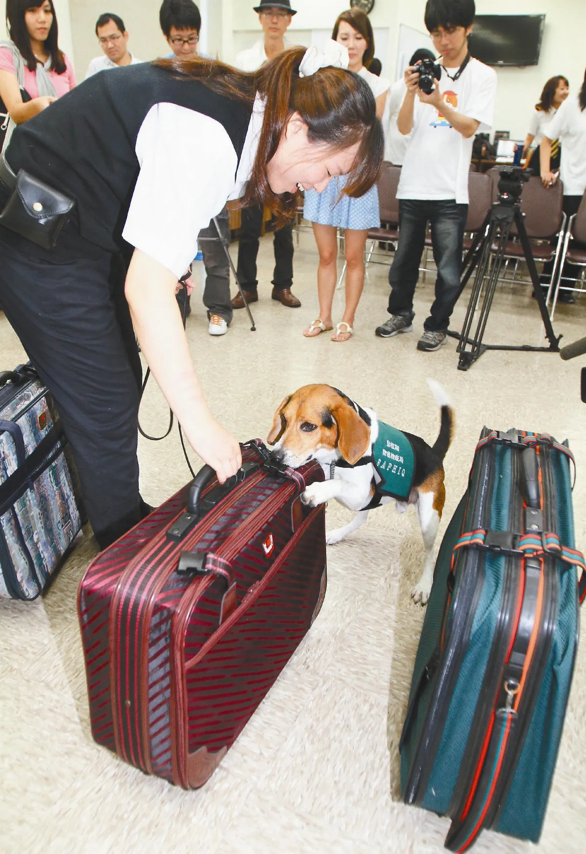 檢疫犬把關