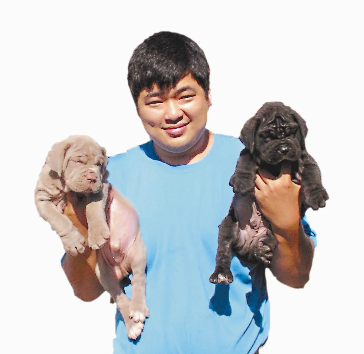 紐波利頓犬的親情交換故事