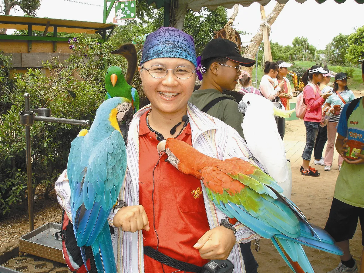 【生活快門】數數 看有幾隻鸚鵡？