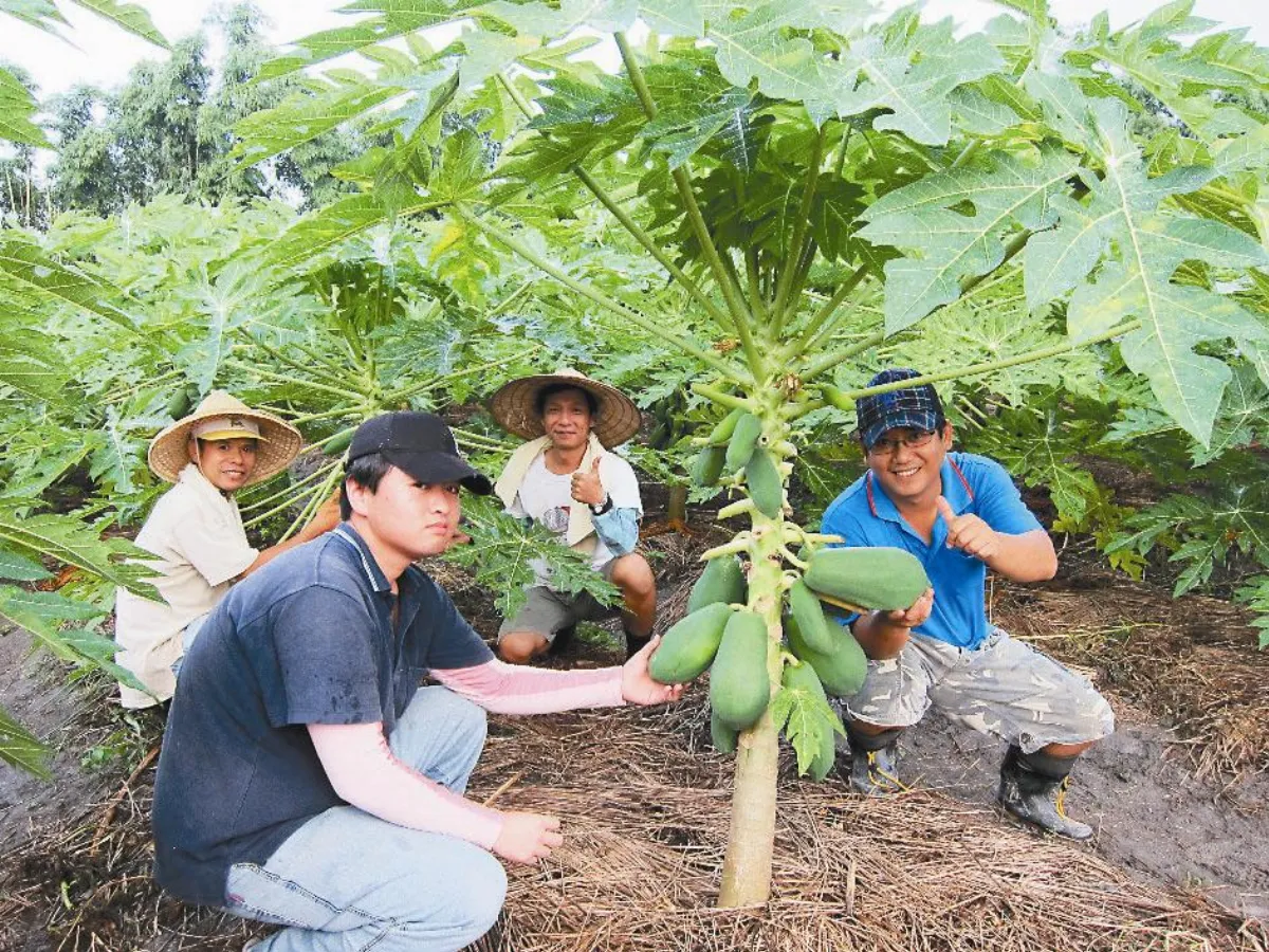 【社區部落格】心希望農場 學有機栽種