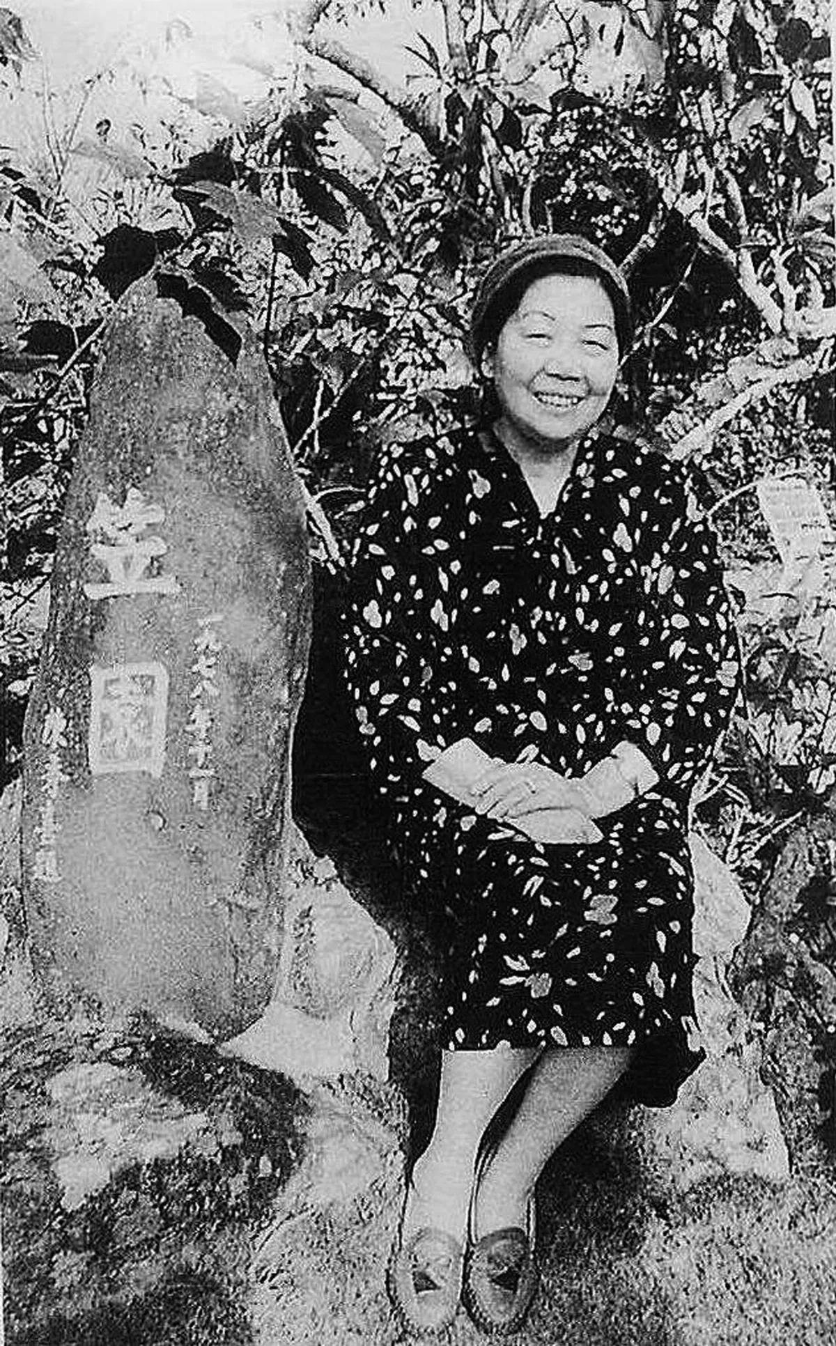喬林品詩   陳秀喜的〈花絮〉