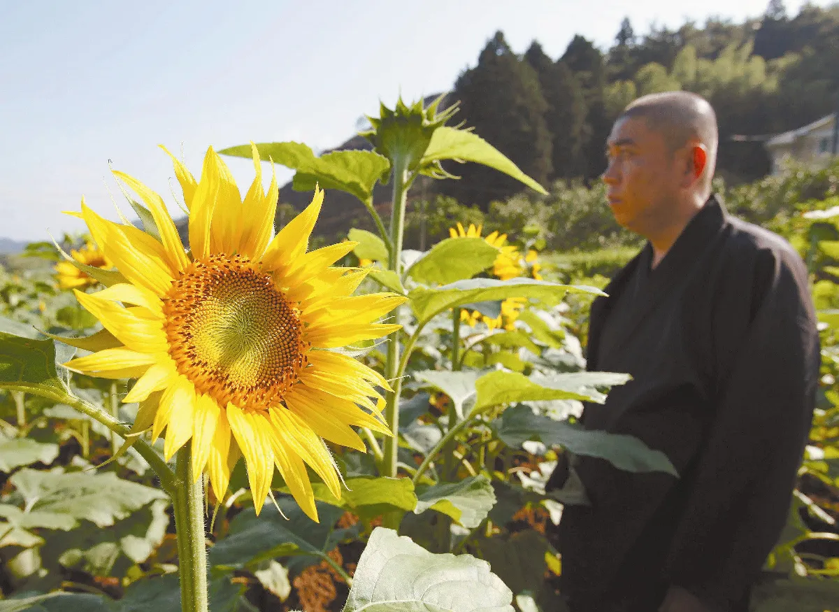 向花兒許願