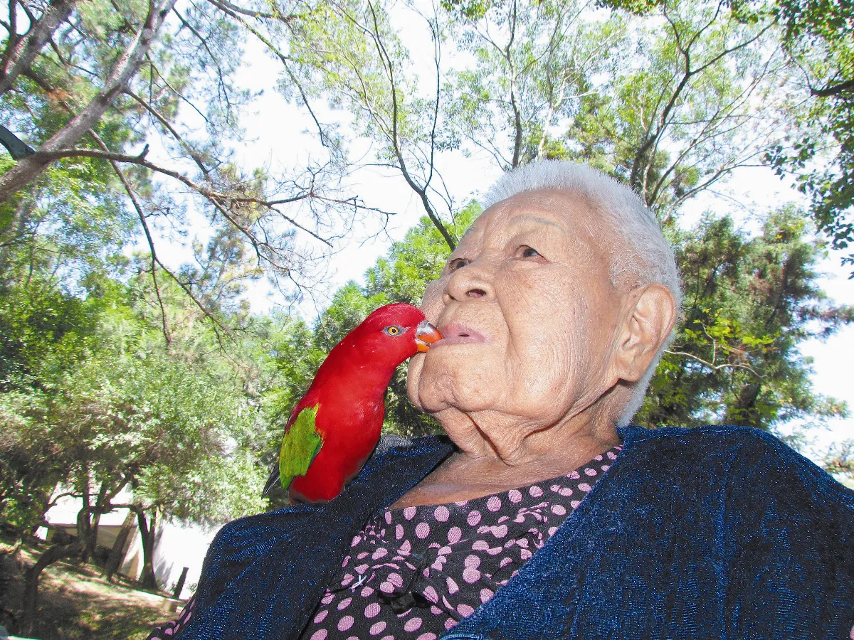 頑皮小曾孫 會喊救命