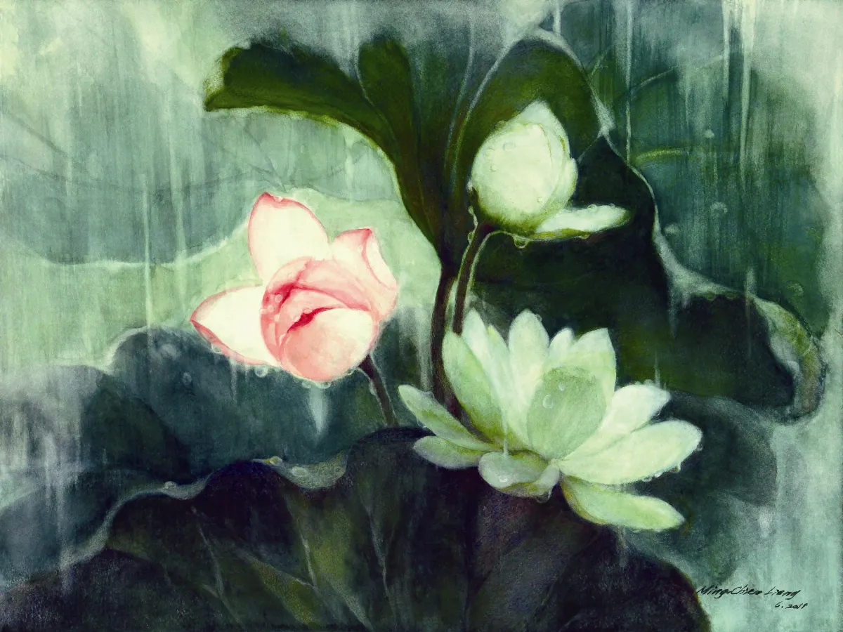 【藝林漫賞】雨荷