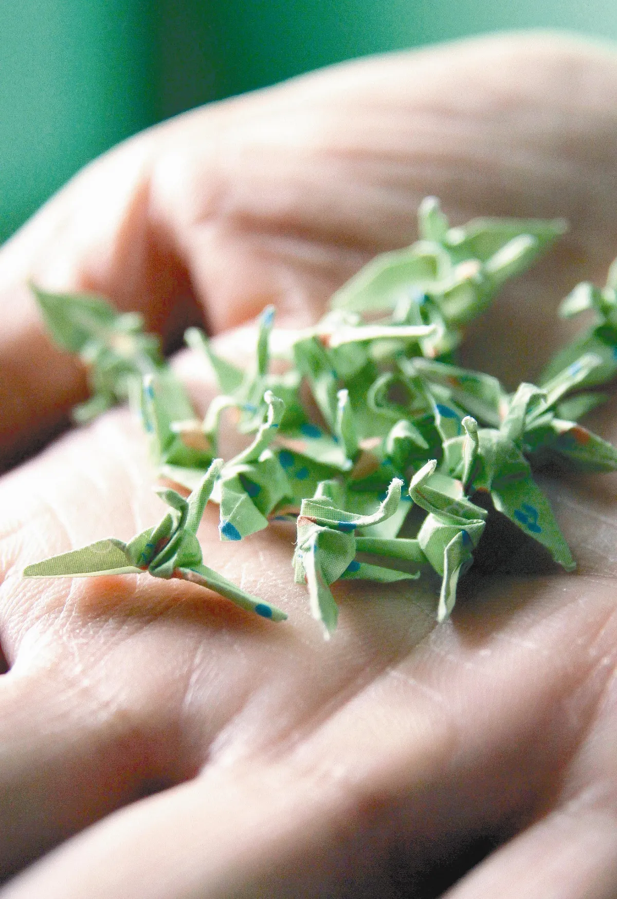 因為愛，有了力量