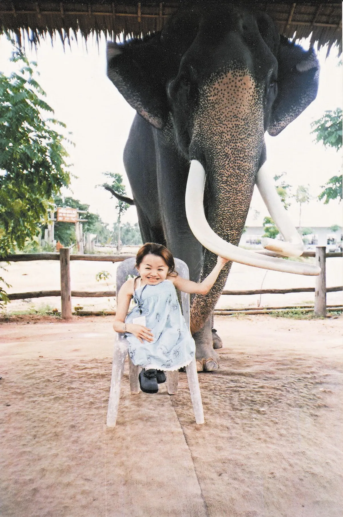 玻璃娃娃 奇蹟走遍全世界