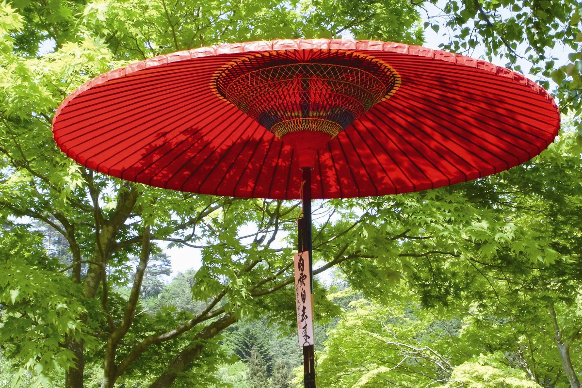 我無罪──關於盧梭的《一個孤獨漫步者的遐想》