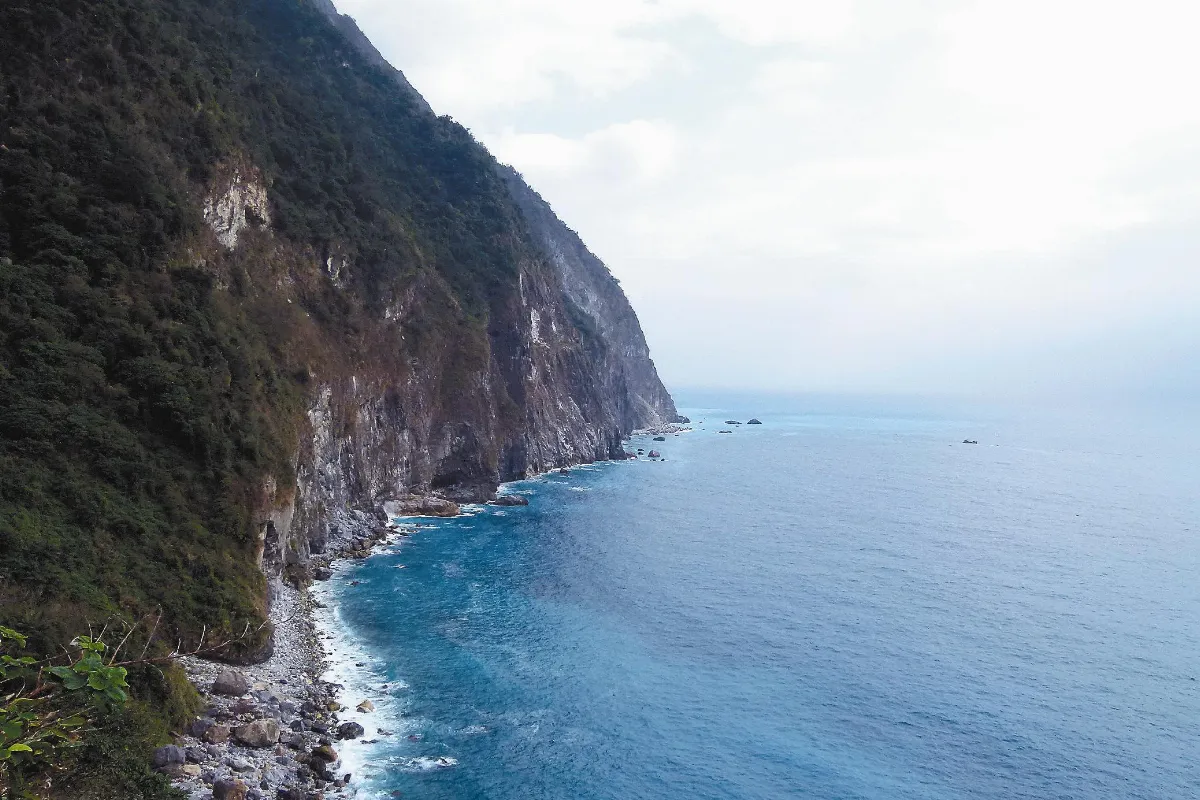 藝文界：救救美麗東海岸