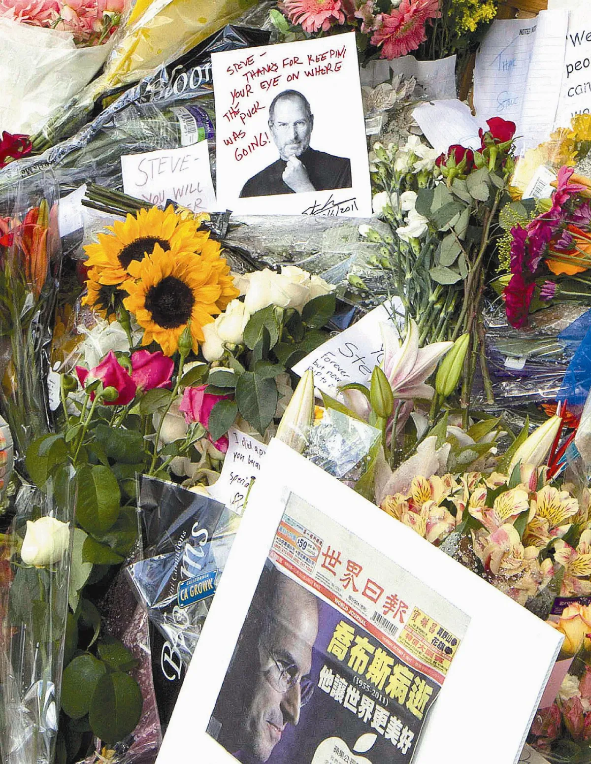 賈伯斯死因：胰臟癌導致呼吸衰竭