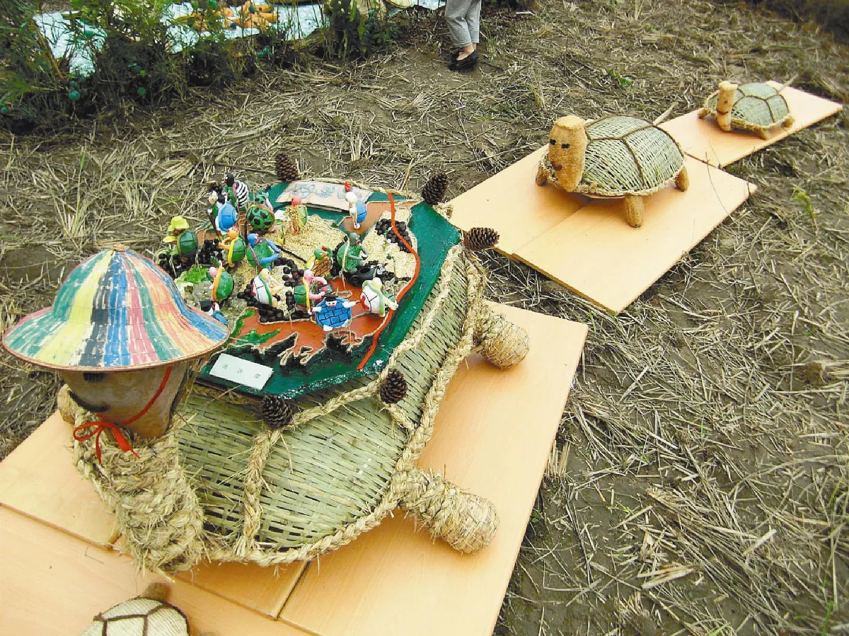 導遊龜  推米食