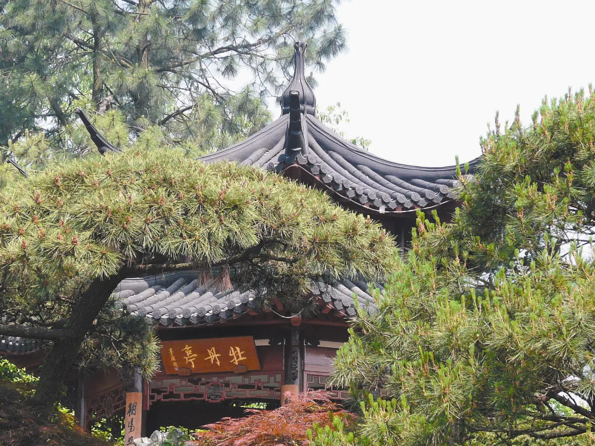 金秋慢遊水岸江南