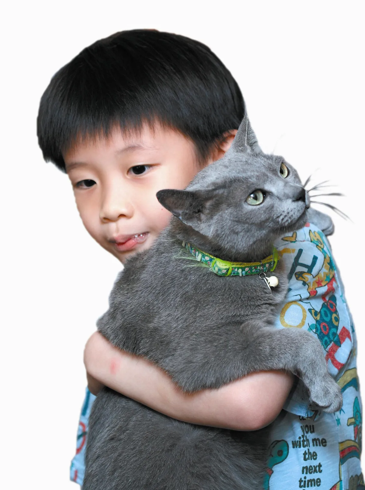貓日與貓數據