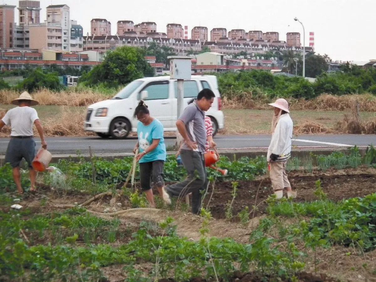 【社區部落格】幸福庭園 夫妻種菜增感情