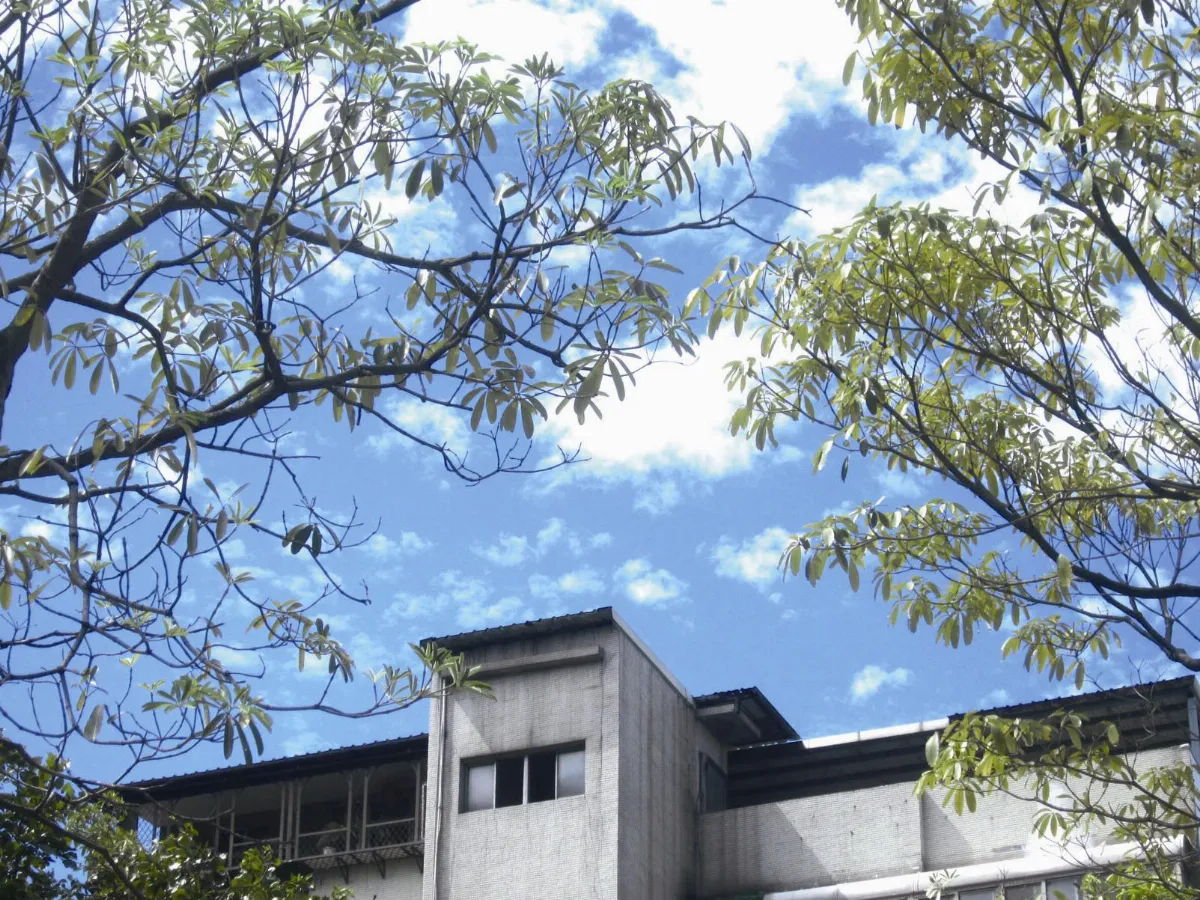 【時光流轉】  昔日西門町巨廈變矮也變低 了！