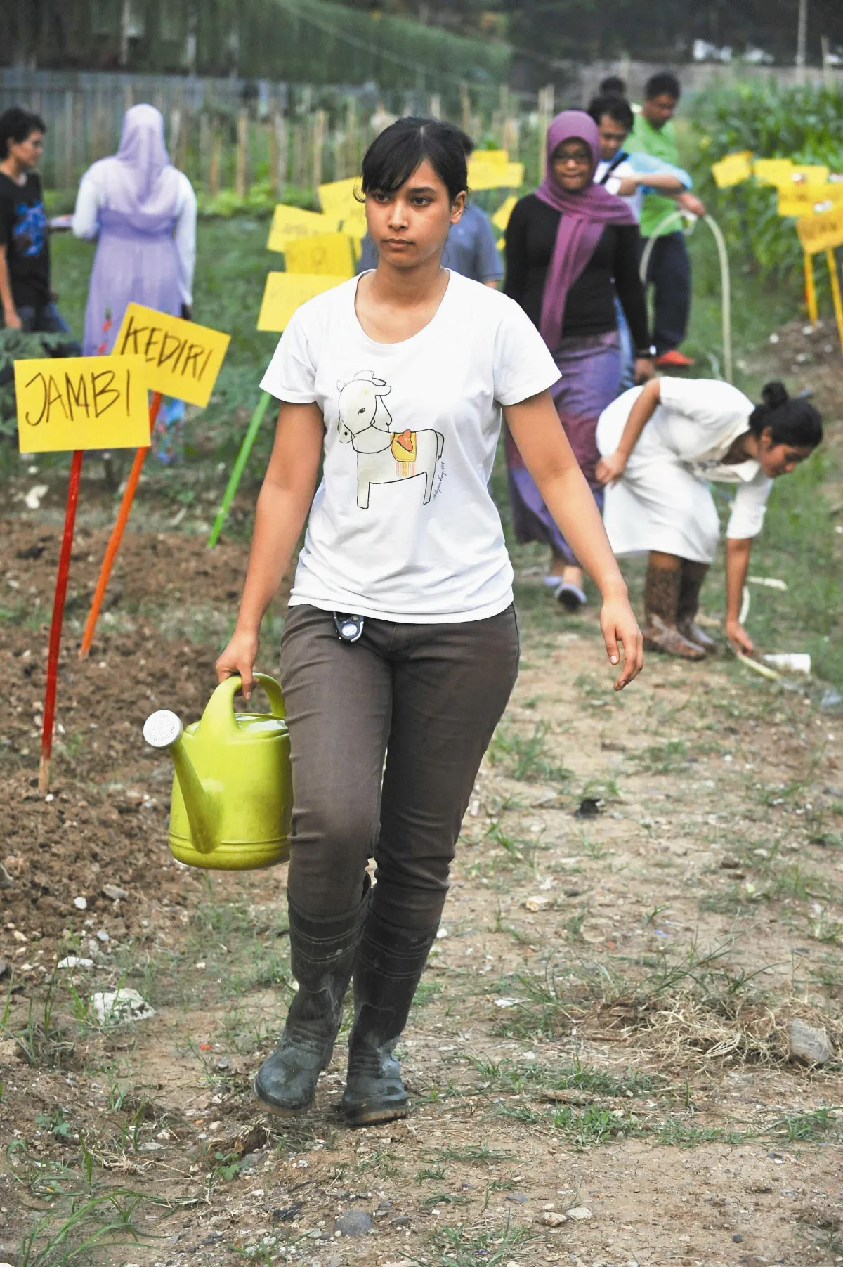 Young urban Indonesians paint the town green印尼都會青年　種菜綠化城市