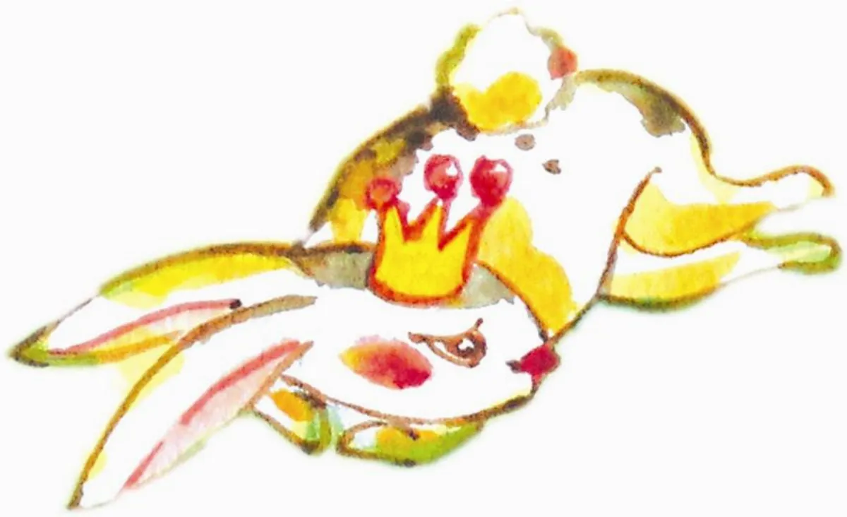 巧兔說 兔王與國王