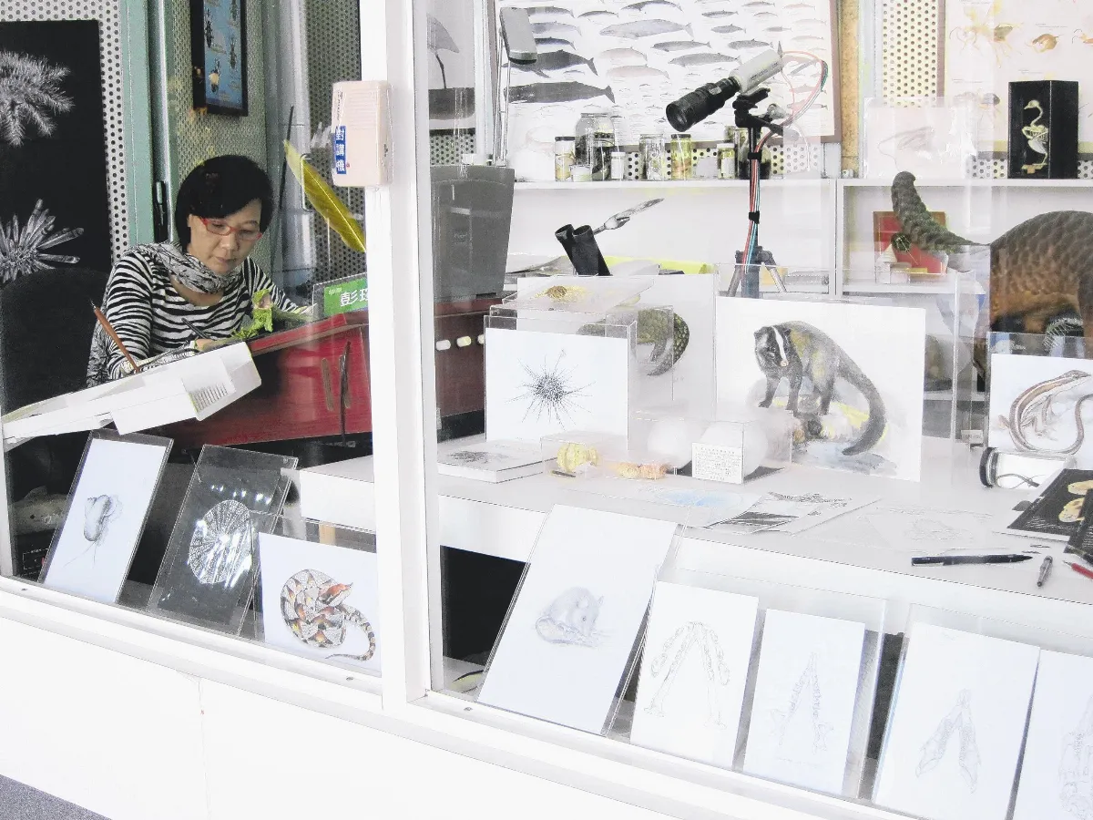 彭瑄玉、楊雪華 櫥窗內展演科學繪圖