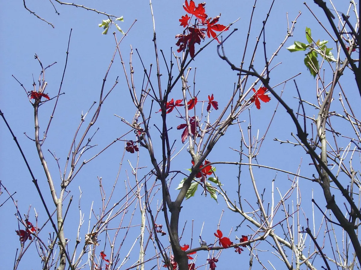 【天南地北】    秋天的呼喚