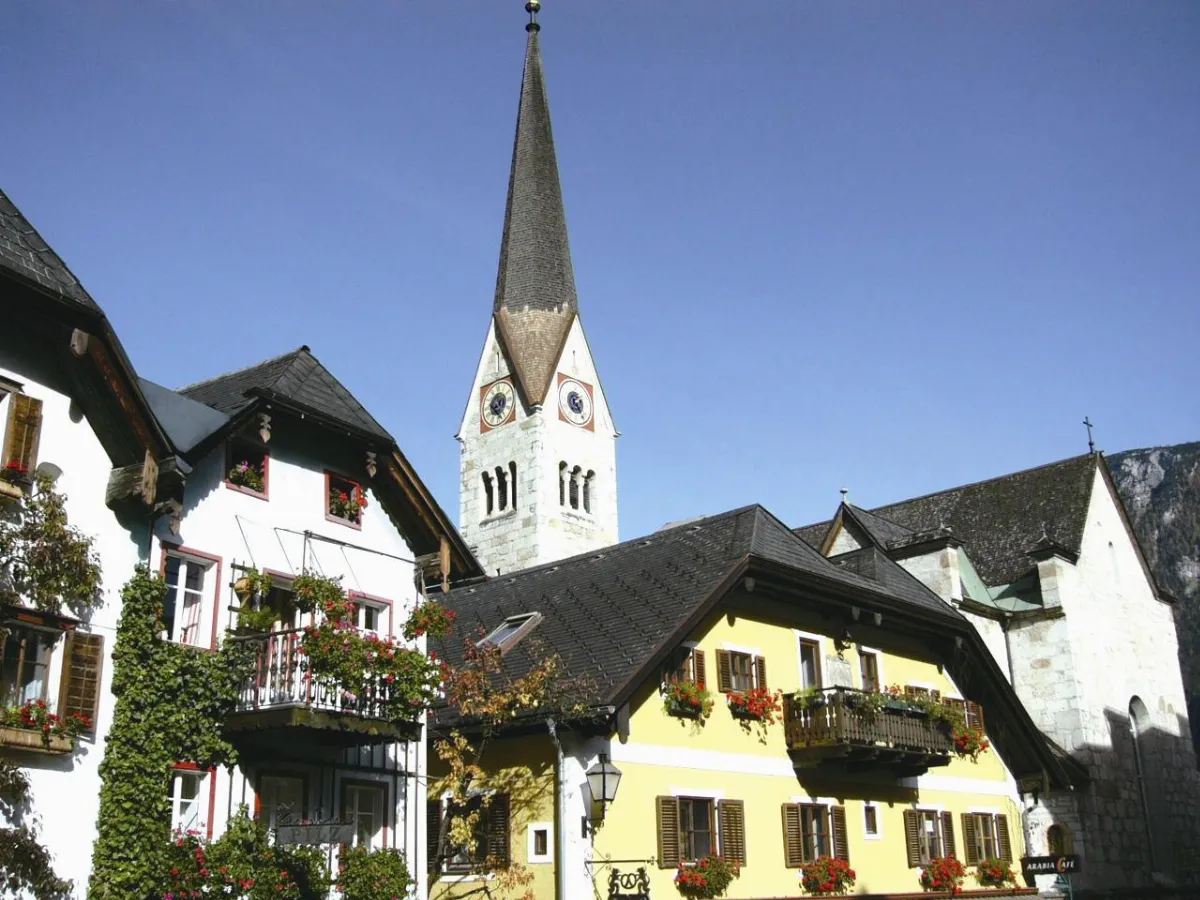 【繞著地球跑】守護家園的貓頭鷹