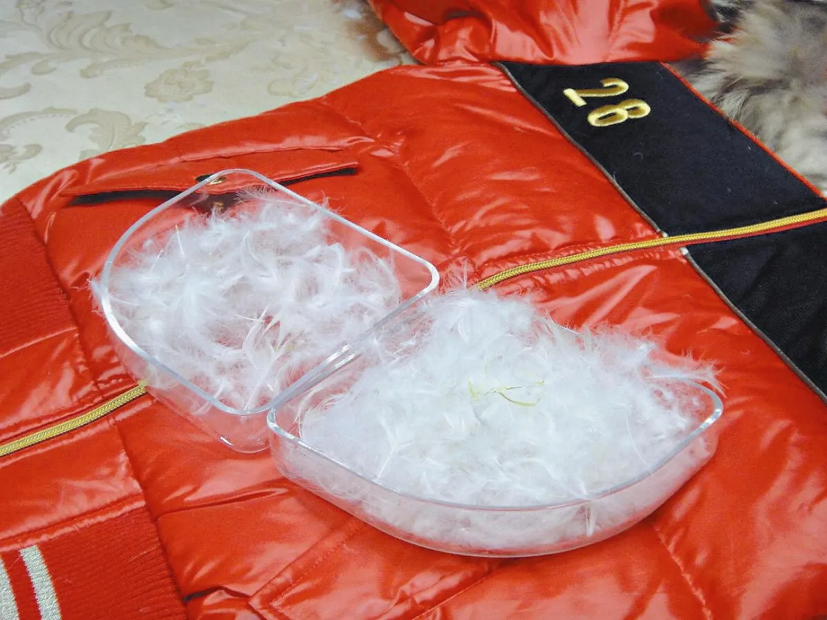 【阿芬家事123】選購羽毛製品 眼到鼻到手到